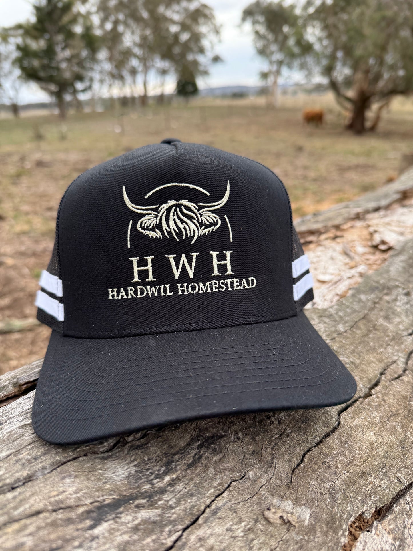 HWH Trucker Hat - Black